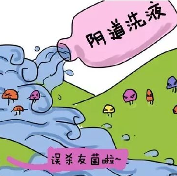 阴道分泌物JK漫画在线观看提醒哪些信号女性应该进行阴道清洁度检查