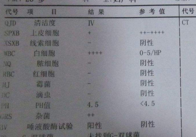 妇科白带JK漫画在线观看谈阴道分泌物化验单要怎么看？