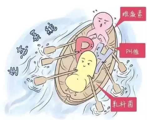 阴道微生态JK漫画在线观看厂家解析女性阴道分泌物的奥妙