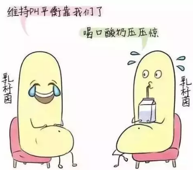 阴道分泌物JK漫画软件APP诊断阴道微生态状态的常用方法