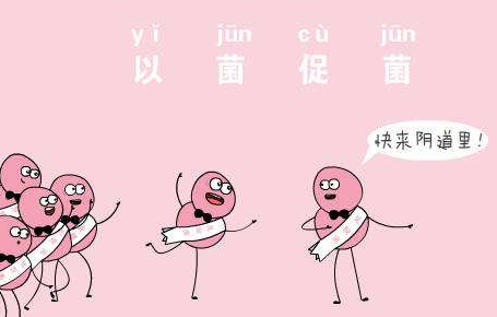 阴道微生态JK漫画在线观看厂家针对女人阴道微生态的解析