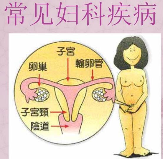 医院全自动白带JK漫画软件APP检测女人妇科3种症状，谨防子宫长瘤！