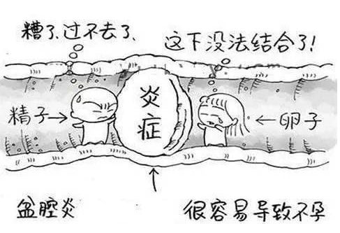 全自动妇科阴道分泌物JK漫画软件APP检测辨别妇科炎症复杂多样！
